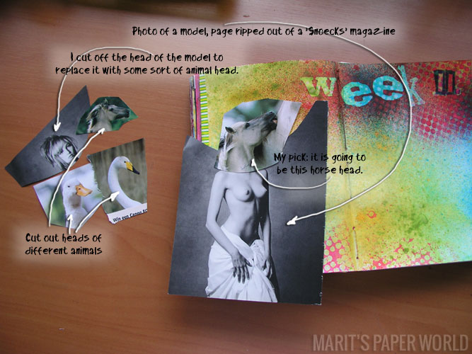 collage